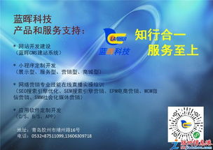 科技賦能未來 網站、小程序與軟件開發引領應用服務新浪潮